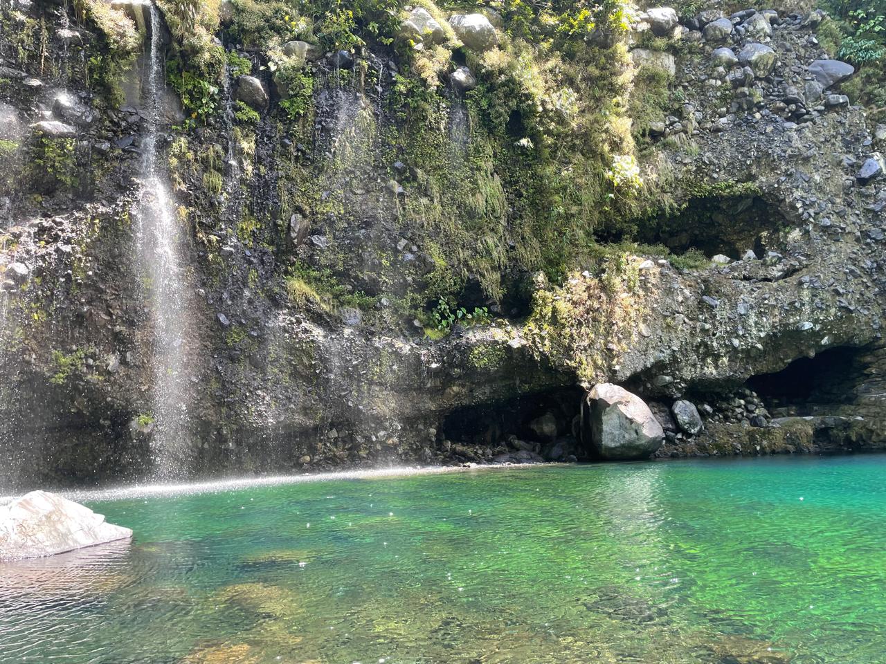 Cascade et eau claire dans un paysage naturel